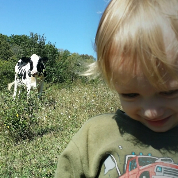 Meet your Posher, Amanda - Picture 1 of 1